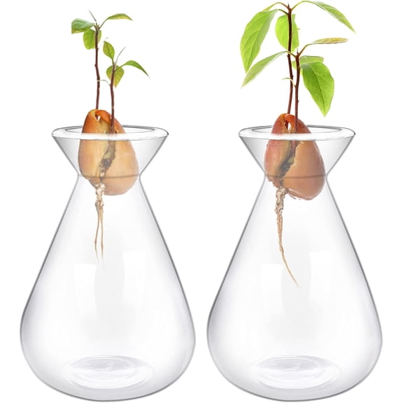 ABCISI 2 Pcs Small Avocado Seed Starter Glass, Planter Growing Glass Small Planter Pot Starter Vases for Avocado Acorn Garlic Vines Root Seeds, 1.73*2.8*4.1inch
