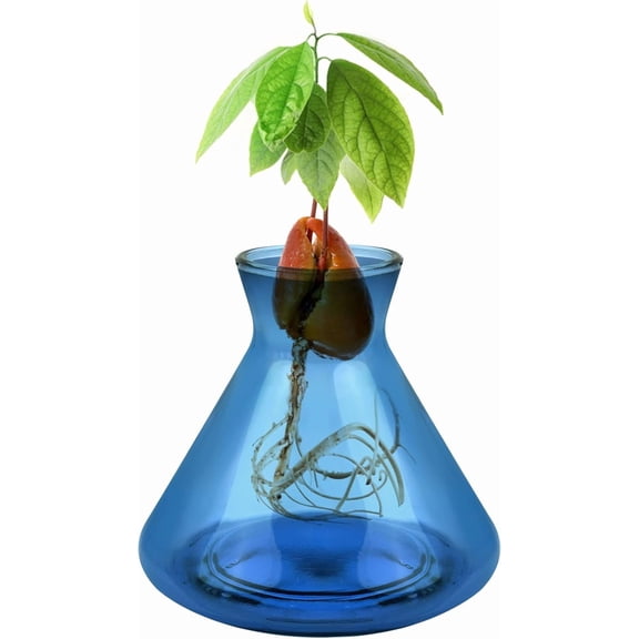 ABCISI Avocado Seed Starter Vases, Pit Planter Pot Avocado Tree Growing Kit Acorn Bulb Vase Grow Glass Hydroponics Container for Gardening Lover, Blue-1pcs