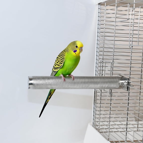ABCISI Bird Perch, Stainless Steel Parrot Perch, Rough Surface Bird Stand for Parakeet Cockatiel Conure African Macaw Finch for Beak & Claw Trimming Grinding, Birds Cage Accessory (S: 7.8″ x 1″)
