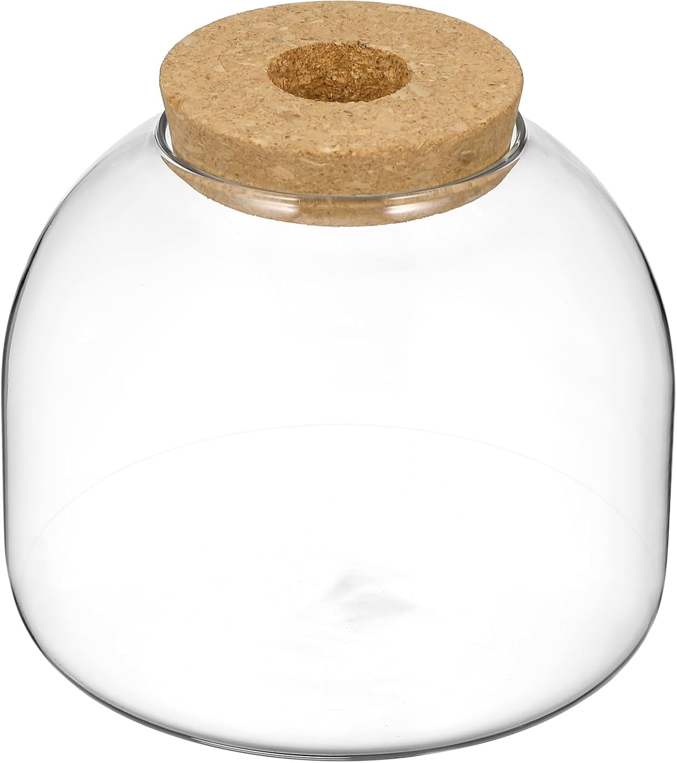 The Buybox Glass Terrarium Jar With Lid - 7.8"H X 4.3"D, Food Safe, For Plants Or Kitchen Storage