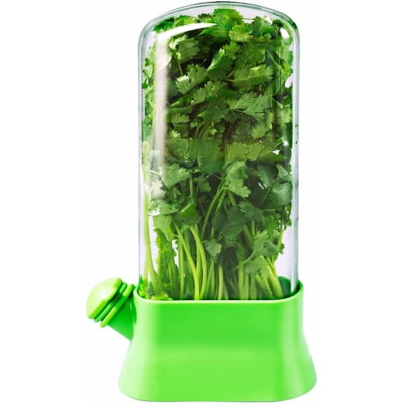 ABCISI Herb Keeper for Refrigerator – Lettuce & Cilantro Container, Fresh Vegetable Saver Pod, Storage Bottle & Fresh-Keeping Box for Spinach, Asparagus, Celery, Mint (Green)