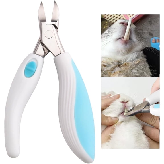 ABCISI Rabbit Teeth Cutter, Premium Stainless Steel Bunny Teeth Nipper, Sharp and Fast Tooth Cutter Scissor, Safe for Rabbits Guinea Pig Chinchilla Bunny and Other Small Animals (Blue)