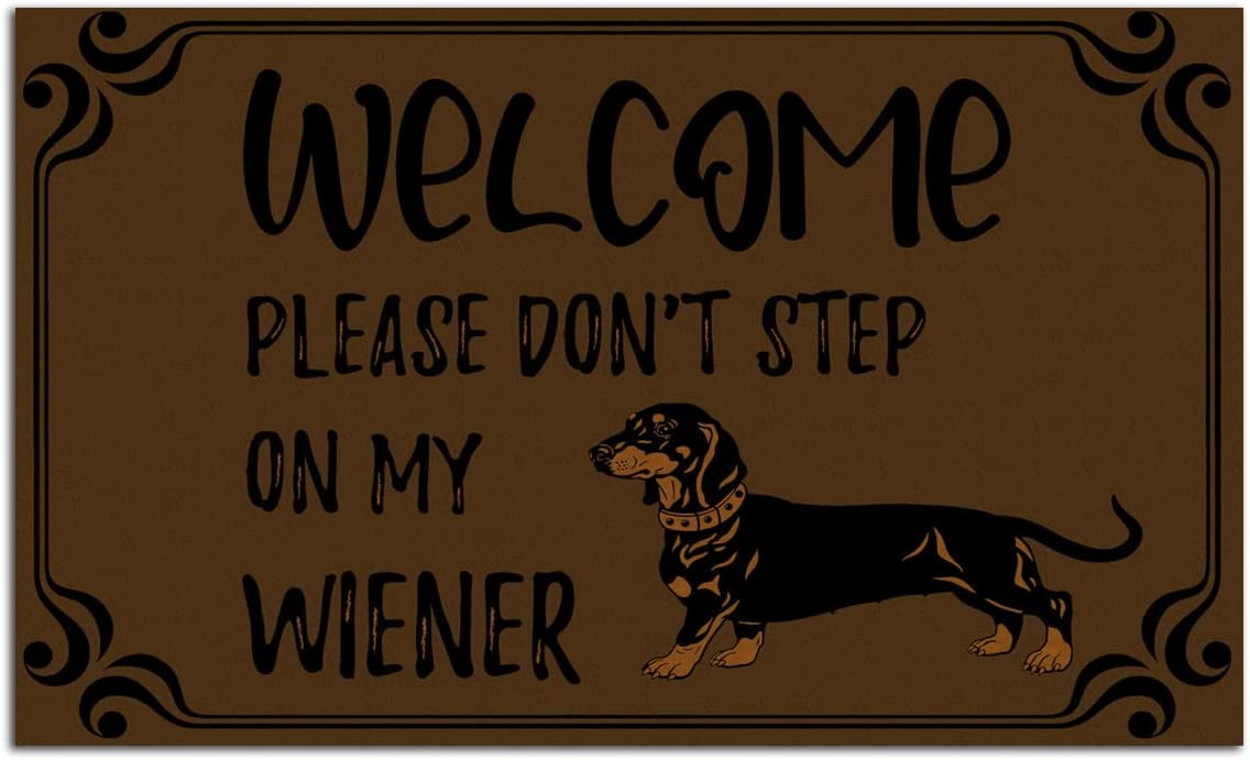 ABOAKRL Please Don't Step on My Wiener Door Mats for