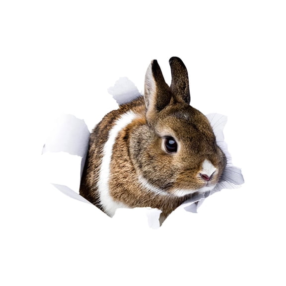 ABODELINE Easter Rabbit Wall Decals - Easter Decor - Lifelike Bunny Toilet Sticker - 3D Bunny Car Window and Bumper Sticker - Bunny Rabbit Gifts