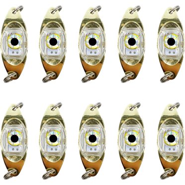 Fishing Guru Tackle LED Diamond Deep Drop Fishing Light – 6 Blue LEDs, Submersible, Strobe