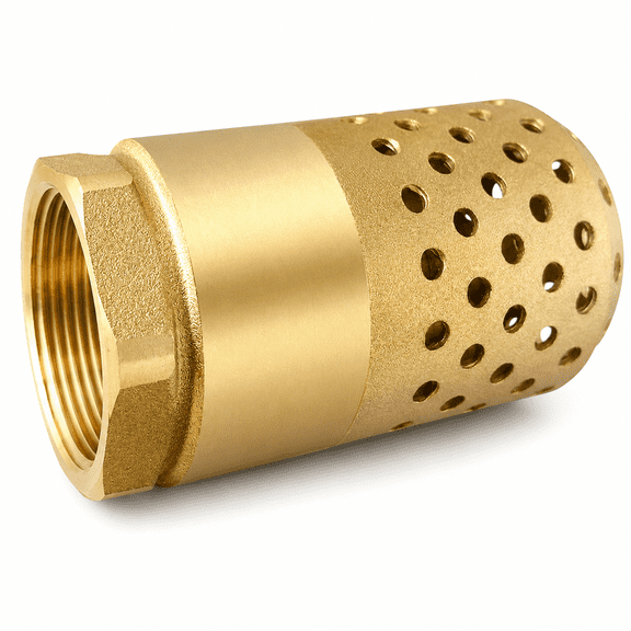 ABPETE Brass Foot Valve, Heavy Duty NPT Female One-Way Check Valve with Perforated Strainer, Spring-Loaded Backflow Preventer for Well, Jet, Irrigation and Water Pumps