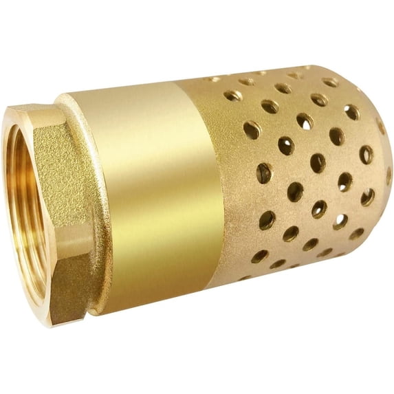 ABPETE Brass Foot Valve 1 inch NPT Heavy Duty Spring Mesh Check Valve ...