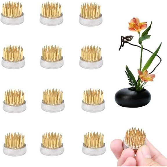 ABPETE Flower Frogs for Arrangements Holder Flower Frog Brass Pin Frog for Classroom Teaching, Home, Office (0.9 inch 12 pcs)