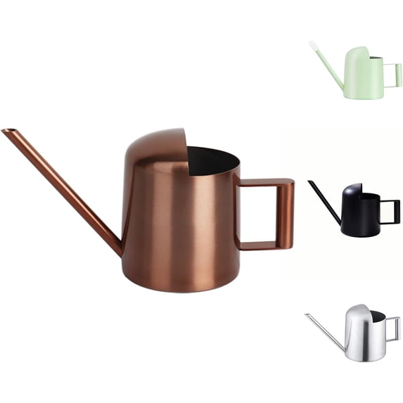 ABPETE Mini Watering Can, 10oz/300ml Stainless Steel Long Spout Small Watering Can for Indoor Plants Succulents, Herbs (Bronze)
