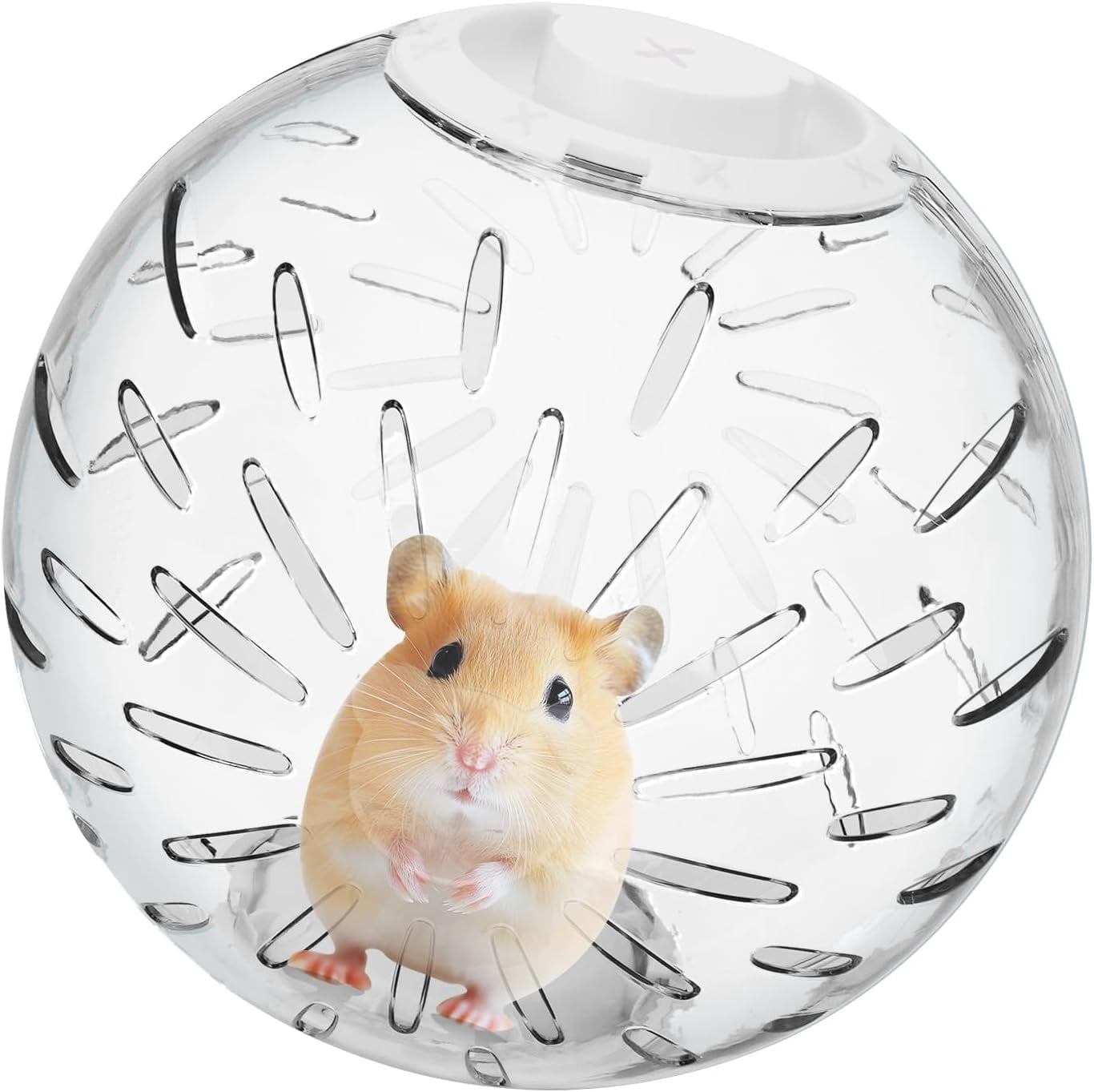 ABPETE Running Clear Plastic Balls with Blue Lock, Large Space, Easy to Clean, Portable Cage, for Hamsters(7.9 inch)