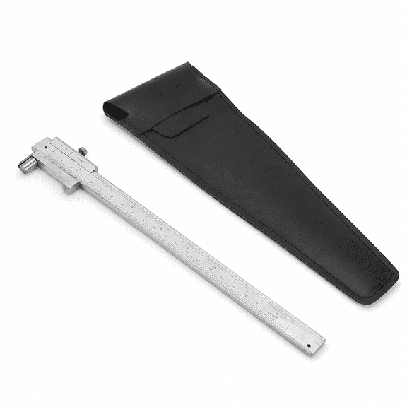 ABPETE 200 mm Scribing Caliper, 8 in Dual-Scale Vernier Marking Gauge with Carbide Scriber and Locking Nut for Metal, Wood and Plastic Layout Work