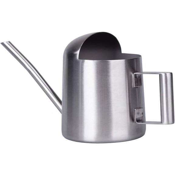 ABPETE Tiny Watering Can for Indoor Plants Bonsai Tree Stainless Steel Small Watering Can Succulents, 11oz/300ml
