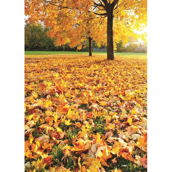 ABPHOTO 5x7ft Photography Backdrop Autumn Landscape Yellow Fall Leaves Park Tree Nature Backdrops for Photo Shoots Newborn Wedding Lovers Party Adult Kids