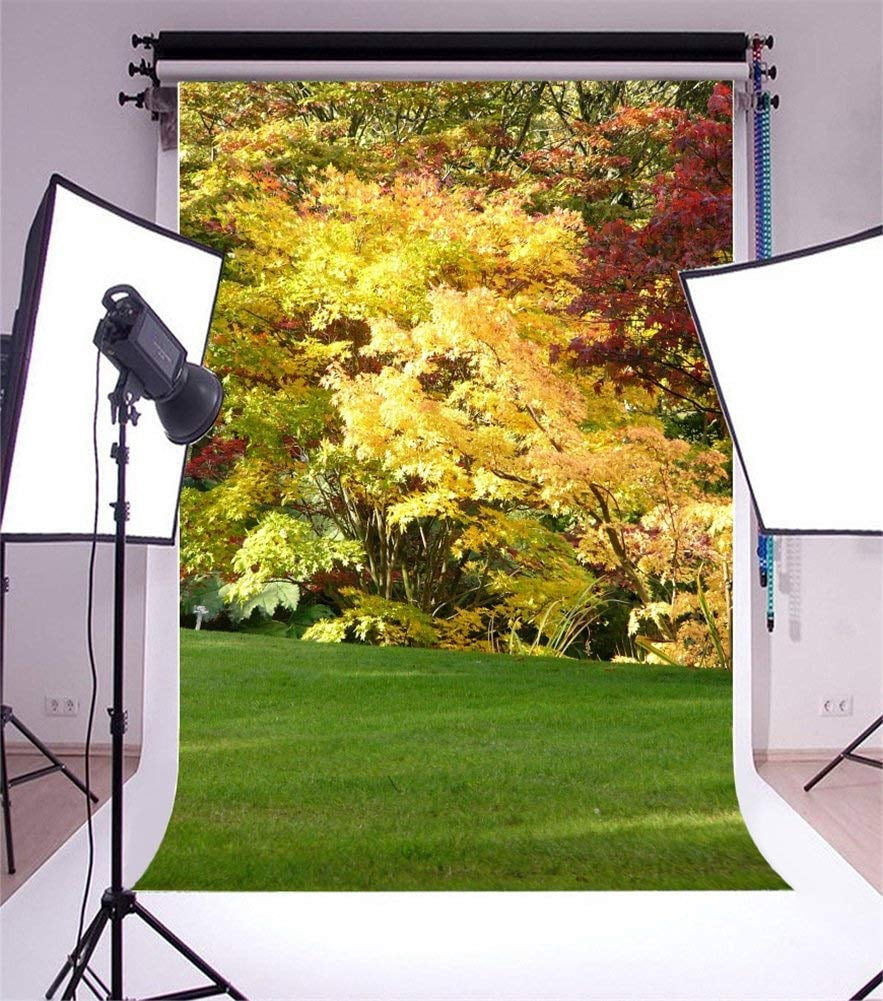 ABPHOTO 5x7ft Photography Backdrop Autumn Tree Nature Landscape Green ...
