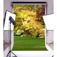 thumbnail image 1 of ABPHOTO 5x7ft Photography Backdrop Autumn Tree Nature Landscape Green Grass Yellow Leaves Photo Background Backdrops, 1 of 4