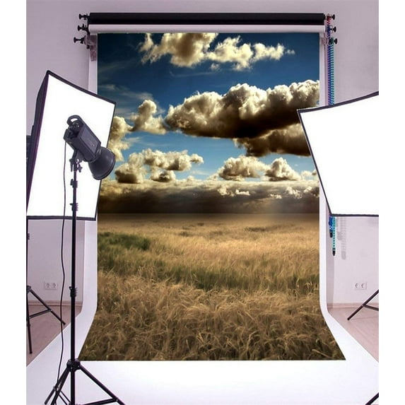 ABPHOTO 5x7ft Photography Backdrop Nature Landscape Wheat Field Blue Sky White Cloud Ric Autumn Photo Background Backdrops