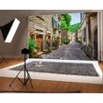 thumbnail image 1 of ABPHOTO 7x5ft Photography Backdrop European Building Street Green and Flower Vine Scene Photo Background Backdrops, 1 of 4