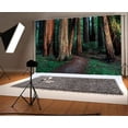 thumbnail image 1 of ABPHOTO 7x5ft Photography Backdrop Jungle Aged Trees Grass Field Dirt Road Gloomy Nature Travel Photo Background Backdrops, 1 of 4