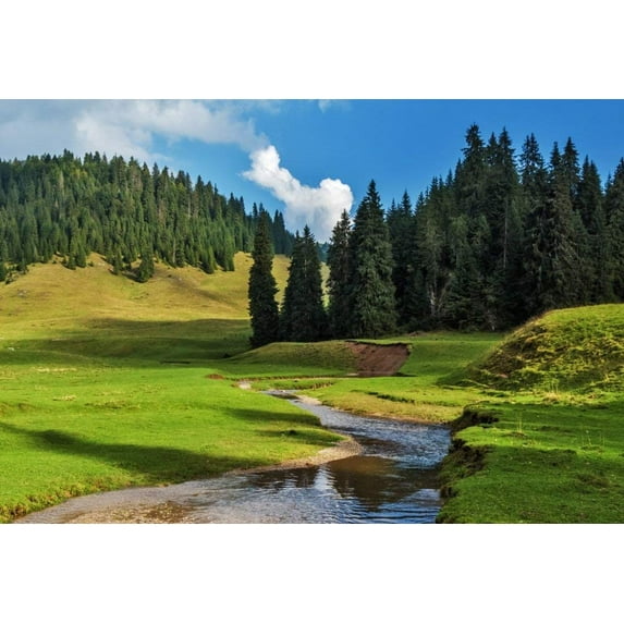 ABPHOTO 7x5ft Photography Backdrop Nature Landscape Outdoor Mountain Blue Sky White Cloud Forest Stream Scenic Photo Background Backdrops