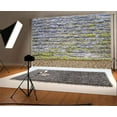 thumbnail image 1 of ABPHOTO 7x5t Photography Backdrop Brick Walls with Green Moss Stone Floor Photo Background Backdrops, 1 of 4