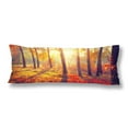 thumbnail image 1 of ABPHOTO Autumn Fall Autumnal Park Trees Leaves Body Pillow Covers Case Protector 20x60 inch, 1 of 2