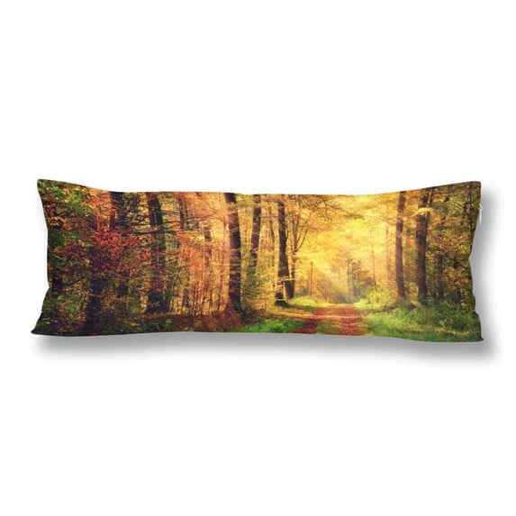 ABPHOTO Autumn Forest Fall Gold Foliage Leave Body Pillow Covers Case Protector 20x60 inch