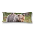 thumbnail image 1 of ABPHOTO Brown Bear Body Pillow Covers Pillowcase Throw Pillows 20x60 inch, 1 of 2