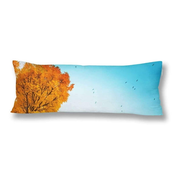ABPHOTO Colorful Foliage in The Fall Park Blue Sky Bird Body Pillow Covers Case Pillowcase 20x60 inch Couch