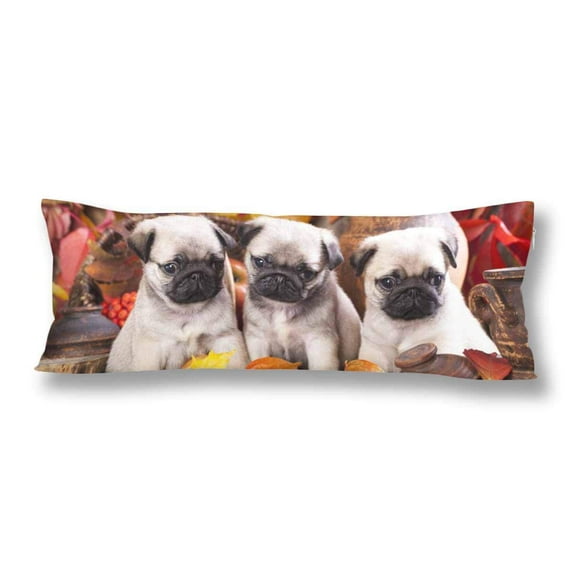 ABPHOTO Cute Pug Puppy Dog Autumn Leave Body Pillow Covers Case Protector 20x60 inch