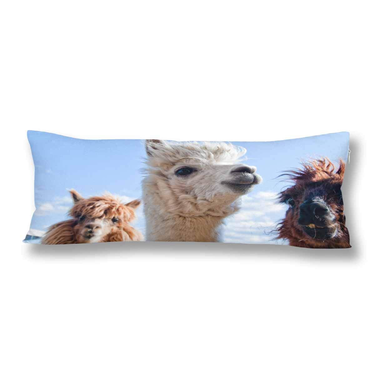 ABPHOTO Funny Alpacas Llama Pattern Pink Heart Stars Body Pillow Covers Case Protector 20x60 inch Walmart