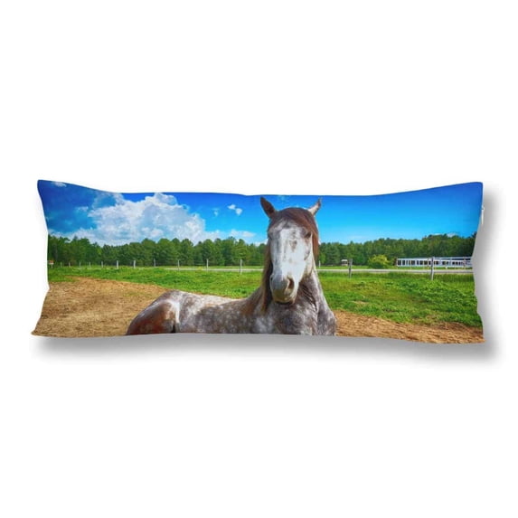 ABPHOTO Horses Body Pillow Covers Pillowcase Throw Pillows 20x60 inch