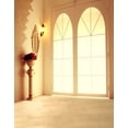 thumbnail image 1 of ABPHOTO Polyester 5x7ft 3D Vision Wall Window Floor Interior Room Scene for Wedding Photo Booth Model Photography Backdrops, 1 of 2