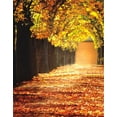 thumbnail image 1 of ABPHOTO Polyester 5x7ft Autumn Fall Tree Yellow Leaves Photography Backdrops Photo Props Studio Background, 1 of 2