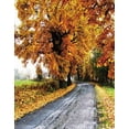 thumbnail image 1 of ABPHOTO Polyester 5x7ft Autumn Fall Yellow Tree Leaves Photography Backdrops Photo Props Studio Background, 1 of 2