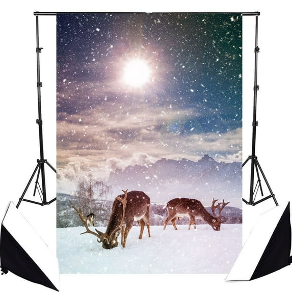 ABPHOTO Polyester 5x7ft Christmas Theme Pictorial Cloth Photography Backdrop Background Studio Prop Best For Photography,Video and Television Background