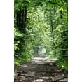 thumbnail image 1 of ABPHOTO Polyester 5x7ft Deep forest path landscape Photography art Backdrop, 1 of 2