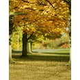 thumbnail image 1 of ABPHOTO Polyester 5x7ft Fall Yellow Tree Leaves Photography Backdrops Photo Props Studio Background, 1 of 2