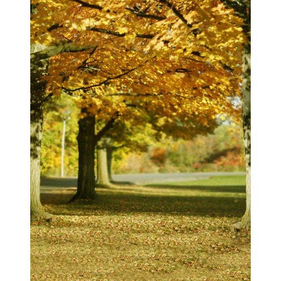 ABPHOTO Polyester 5x7ft Fall Yellow Tree Leaves Photography Backdrops Photo Props Studio Background