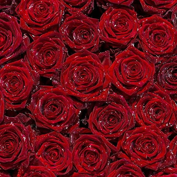 ABPHOTO Polyester 5x7ft Fresh Red Rose Flower Photography Studio Backdrop Background