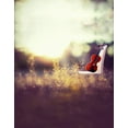 thumbnail image 1 of ABPHOTO Polyester 5x7ft Grass violin Photography Backdrops Photo Props Studio Background, 1 of 2