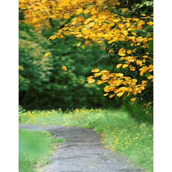 ABPHOTO Polyester 5x7ft Green Trees Forest Field Garden Nature Scenery Graphic Printed Wall Mural Photography Backgrounds
