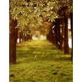 thumbnail image 1 of ABPHOTO Polyester 5x7ft Green Trees Forest Field Garden Nature Scenery Graphic Printed Wall Mural Photography Backgrounds, 1 of 2