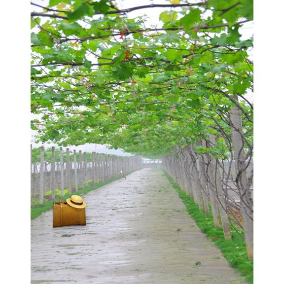 ABPHOTO Polyester 5x7ft Green Vine Photography Backdrops Photo Props Studio Background