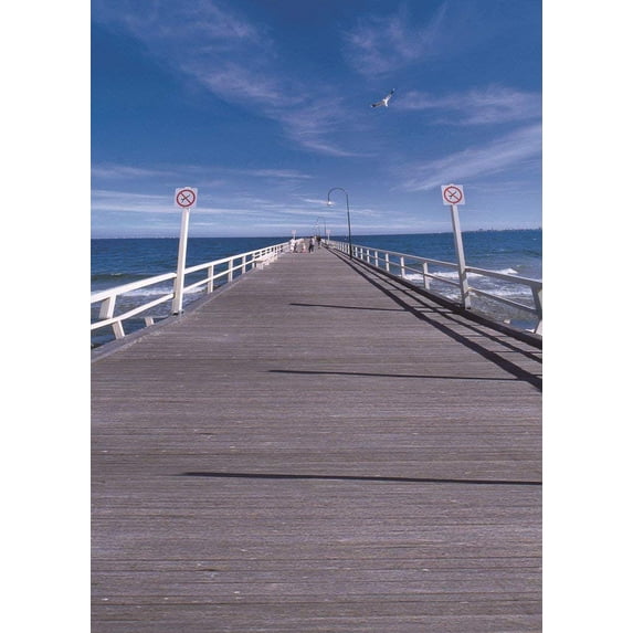 ABPHOTO Polyester 5x7ft Harbour Hiking Backdrop Photograghy Background Studio Props