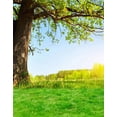 thumbnail image 1 of ABPHOTO Polyester 5x7ft Lawn Green Trees Photography Backdrops Photo Props Studio Background, 1 of 2