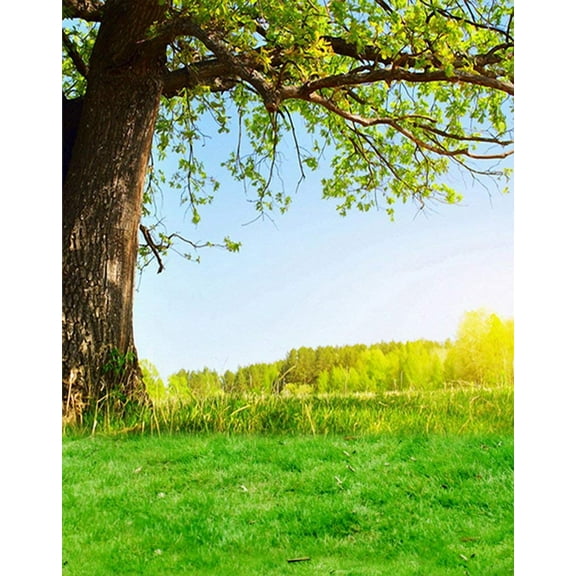 ABPHOTO Polyester 5x7ft Lawn Green Trees Photography Backdrops Photo Props Studio Background