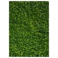 thumbnail image 1 of ABPHOTO Polyester 5x7ft Nature Green Grass Backdrops Photography Wedding or Children Birthday Background, 1 of 3