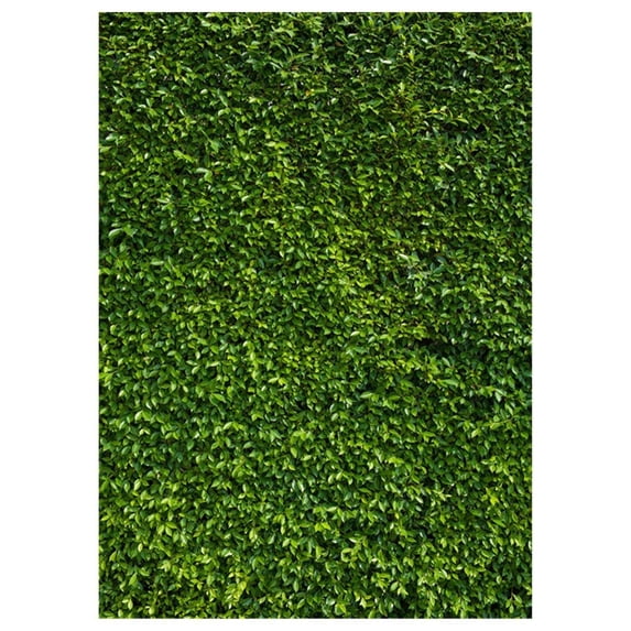 ABPHOTO Polyester 5x7ft Nature Green Grass Backdrops Photography Wedding or Children Birthday Background