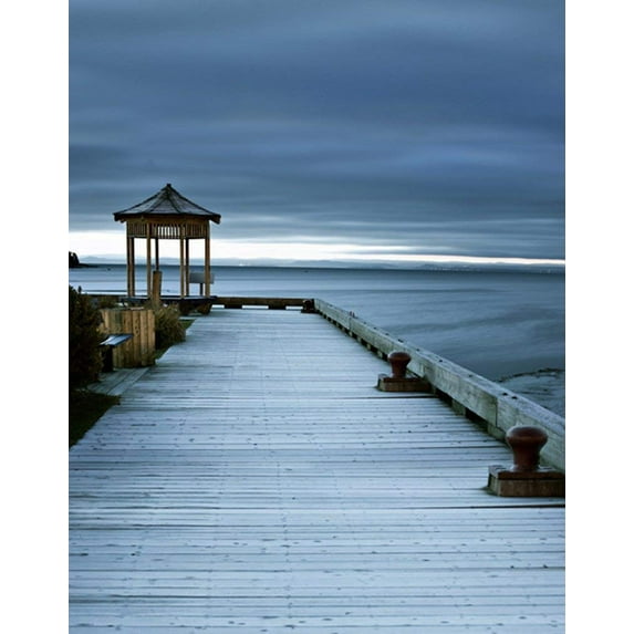 ABPHOTO Polyester 5x7ft Pavilion Photography Backdrops Photo Props Studio Background