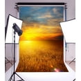 thumbnail image 1 of ABPHOTO Polyester 5x7ft Photography Backdrop Nature Golden Wheat Field Sunrise Photo Background Backdrops for Photography Photo Shoots Party Adults Kids Wedding Personal Portrait Photo Studio Props, 1 of 4